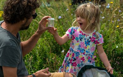 Success for nature in South Downs National Park as festival returns