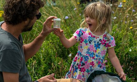 Success for nature in South Downs National Park as festival returns