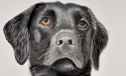 From Paintbrush to Portrait: How Art Healed My Heart