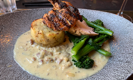 Review: The Red Lion at Odiham