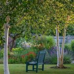 West Sussex NGS gardens open in July