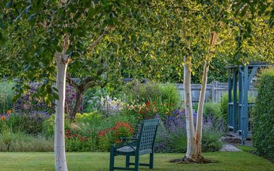 West Sussex NGS gardens open in July