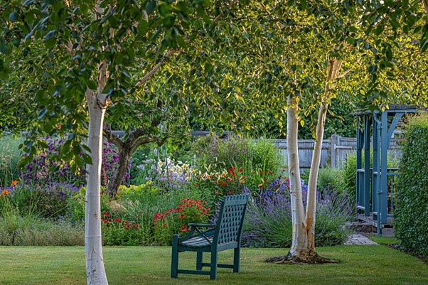 West Sussex NGS gardens open in July