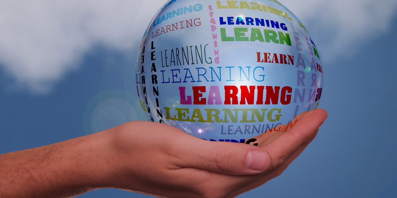 Surrey Hills Enterprises and the University of Surrey announce new education partnership to support local businesses