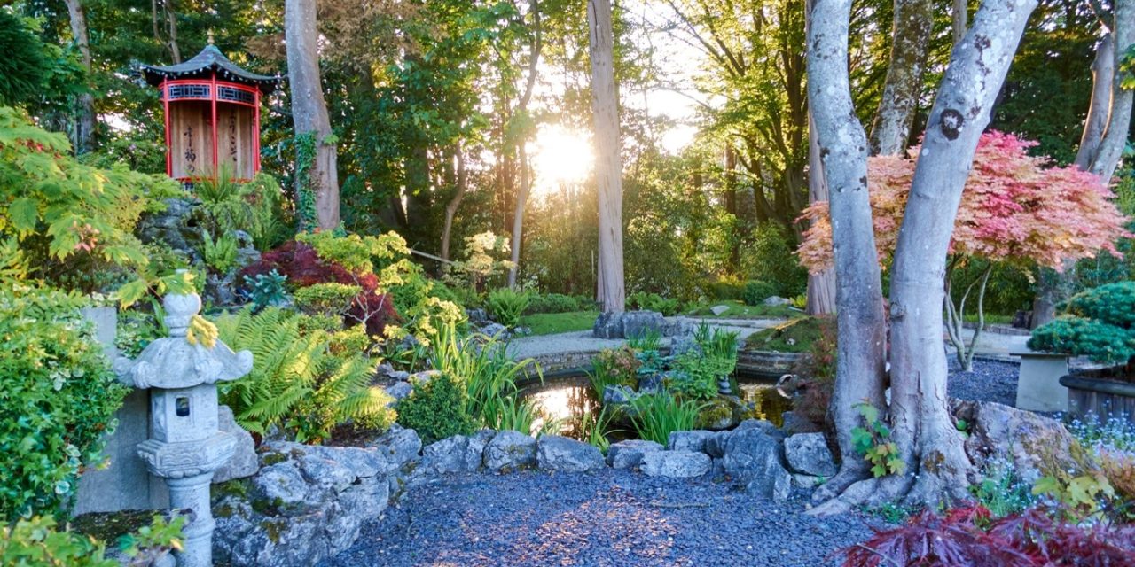 Spectacular West Sussex National Garden Scheme Gardens featuring water