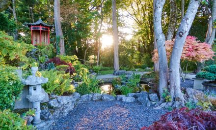 Spectacular West Sussex National Garden Scheme Gardens featuring water