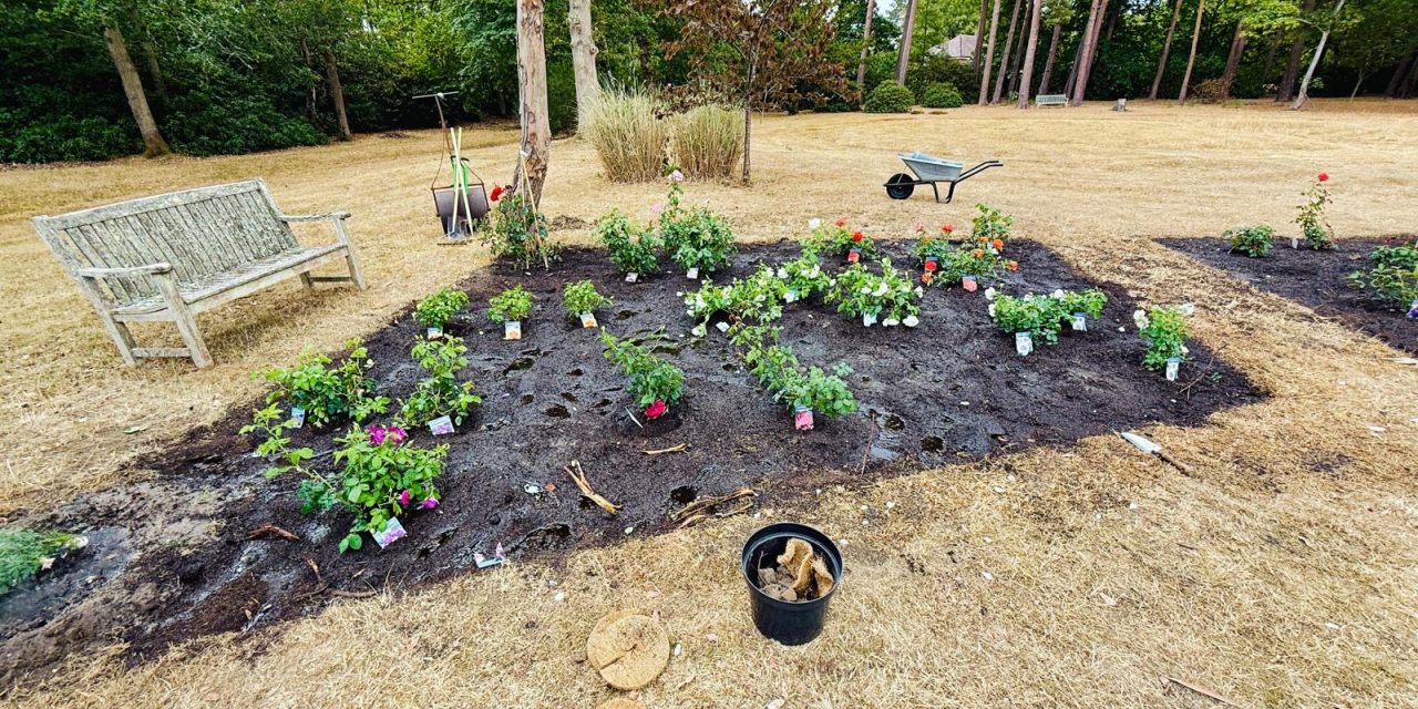 News item: Growing in Faith: new life takes root in Chilworth Abbey’s monastery garden