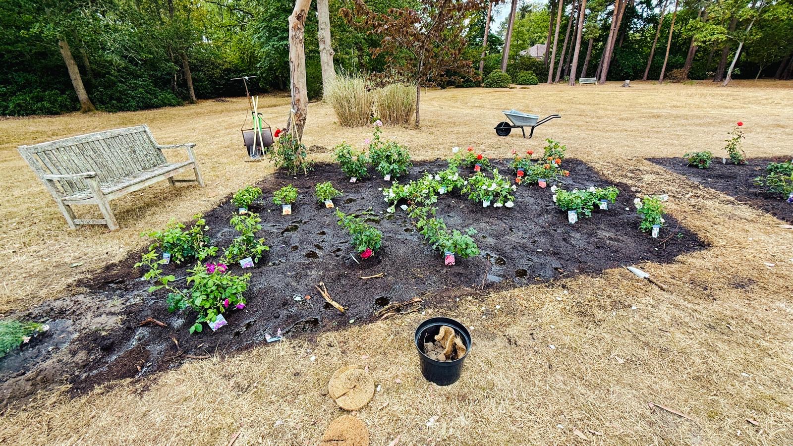 News item: Growing in Faith: new life takes root in Chilworth Abbey's monastery garden