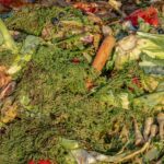 How to turn your kitchen scraps into garden gold