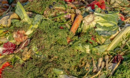 How to turn your kitchen scraps into garden gold