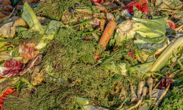 How to turn your kitchen scraps into garden gold